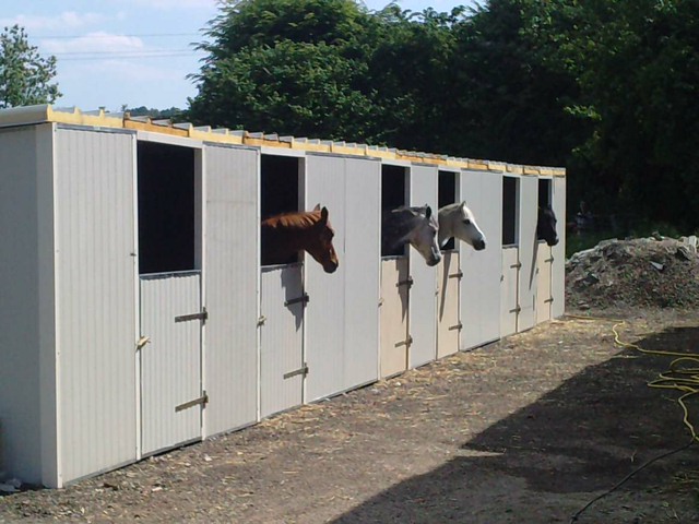 photo construction box chevaux amlux